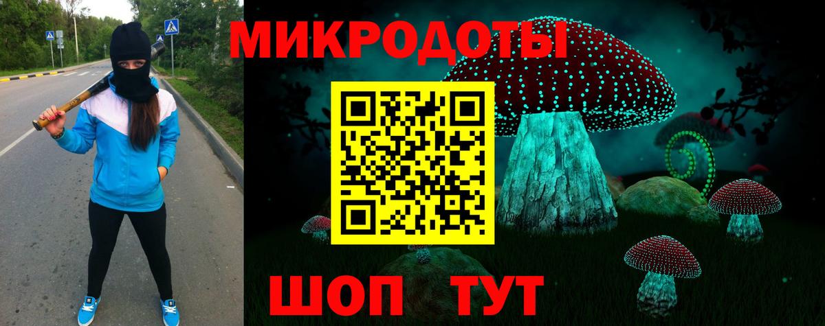 Псилоцибиновые грибы Psilocybine cubensis Тимашёвск