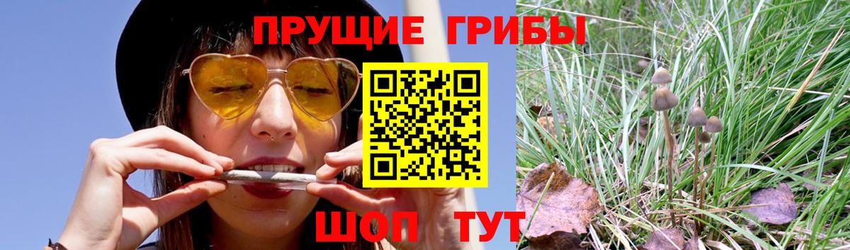 Тимашёвск  Галлюциногенные грибы мицелий  Вход с VPN  Псилоцибиновые грибы ЛСД 